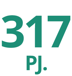317pj
